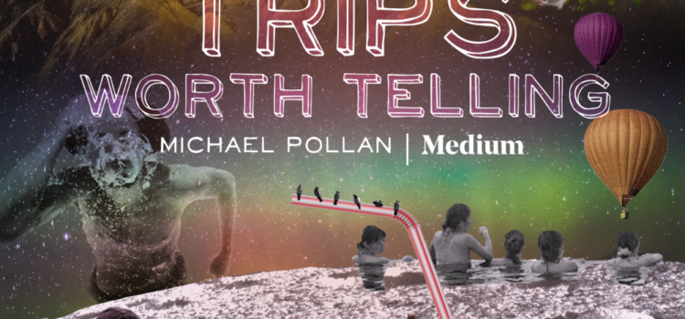 Trips Worth Telling, Medium & Michael Pollan | dori mondon-freeman | Ayahuasca and the Angel in the Mirror | Abundant Content
